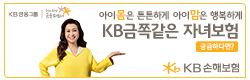 KB손해보험