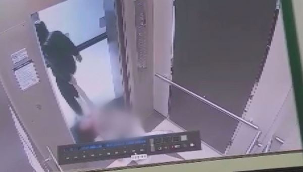 (사진=SBS '궁금한 이야기Y')