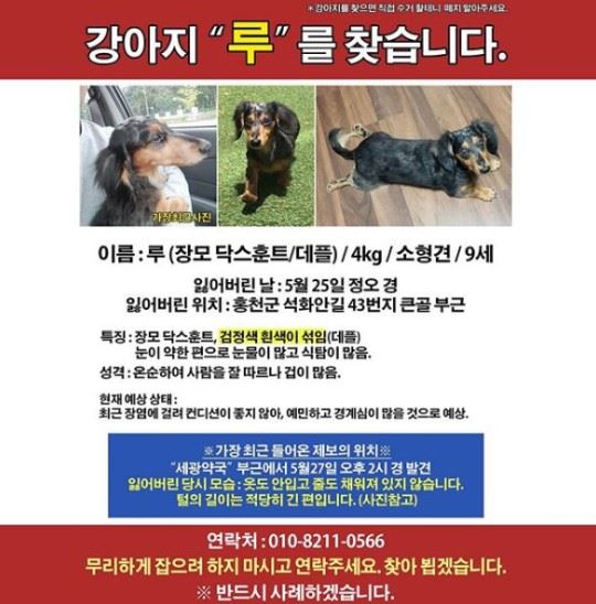 종현 반려견 실종 전단지 (사진=김소담 씨 SNS)