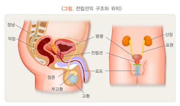 (사진=보건복지부)