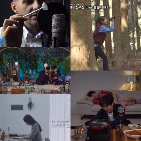 (사진=SensorAdi ASMR 유튜브 영상, 네이버 V라이브 화면, 이니스프리 '나는 한란을 씁니다' 60s ver., tvN 숲속의 작은 집 방송화면, 피키캐스트 '엄마가 잠든 후에')