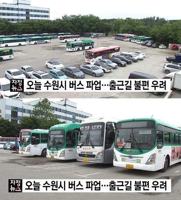 (사진=YTN 방송화면 캡처)