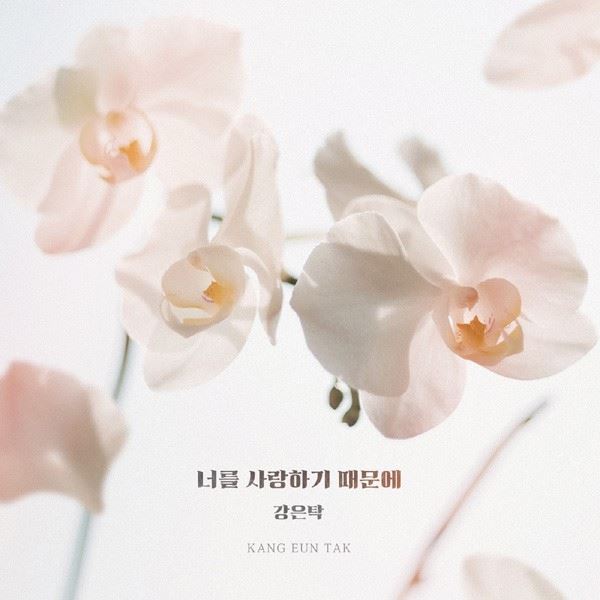 (사진=더하기미디어 제공)