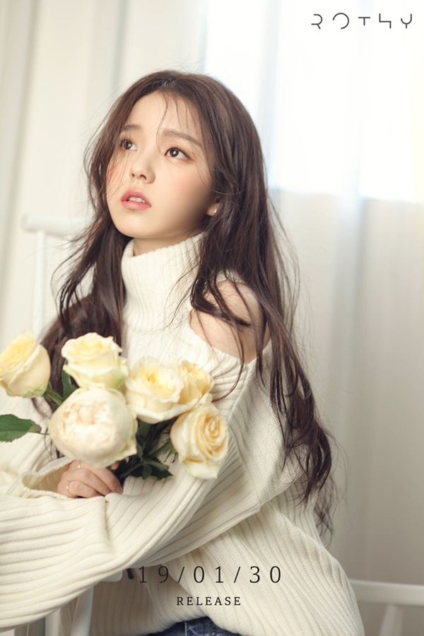 로시(사진=도로시컴퍼니)