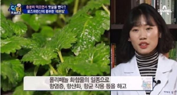 (사진=채널A 방송화면)