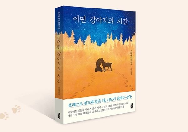 (사진=황금시간)