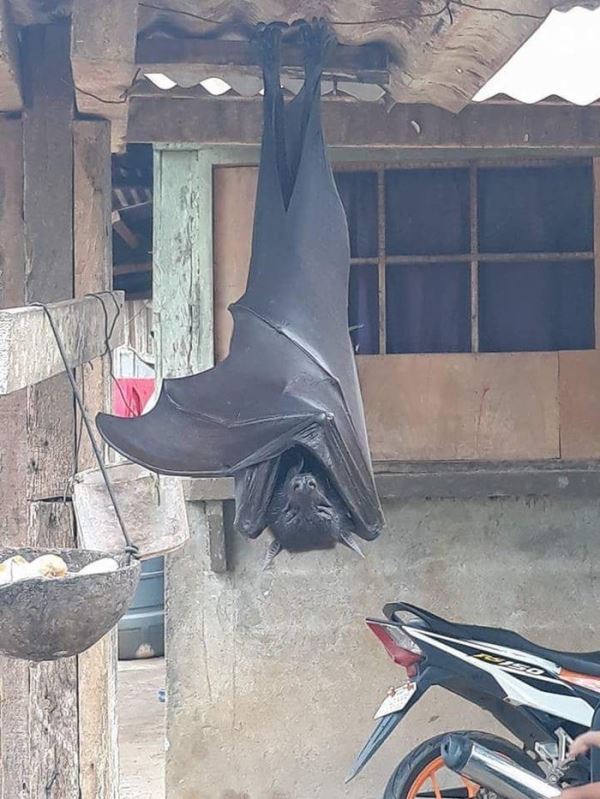 (사진=온라인 커뮤니티)