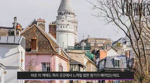 (사진=영상 캡처)
