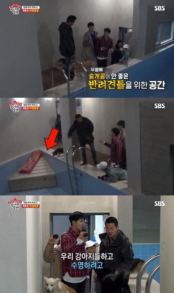 (사진=SBS 방송화면)