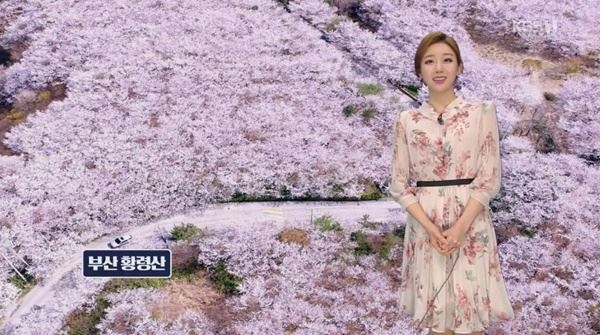 (사진=KBS 방송화면)