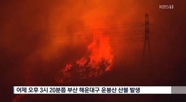 해운대 산불(사진=kbs 뉴스 캡처)