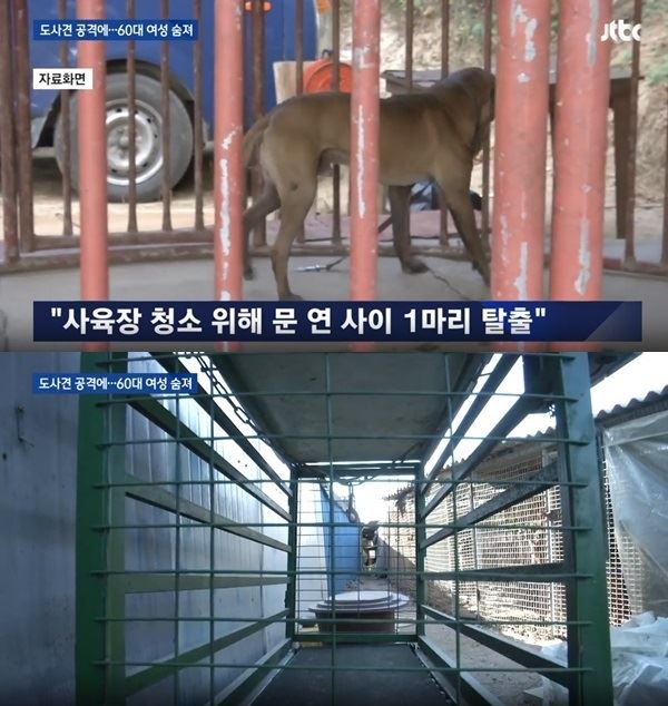 (사진=JTBC 방송화면)