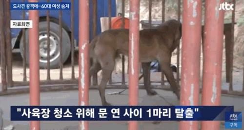 사진=JTBC뉴스캡처