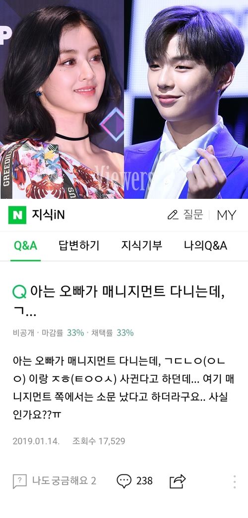 사진=뷰어스 DB, 네이버 지식인 캡쳐