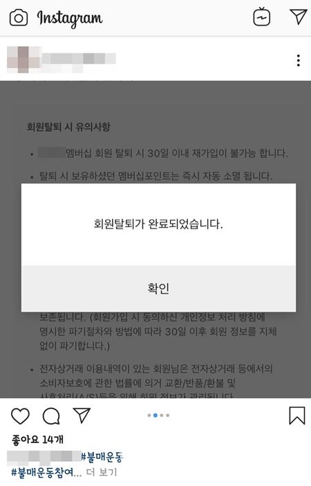 사진=독자제공