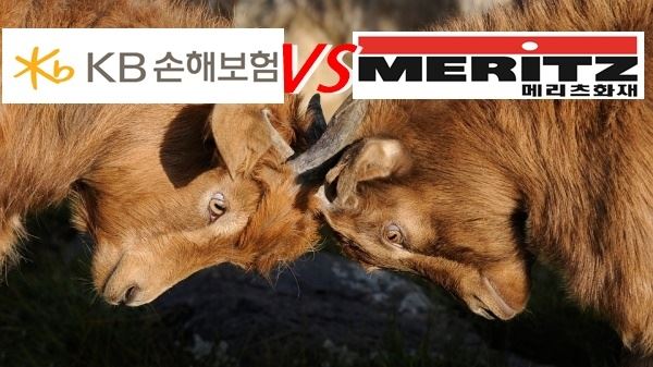 사진=픽사베이, KB손보-메리츠화재 로고