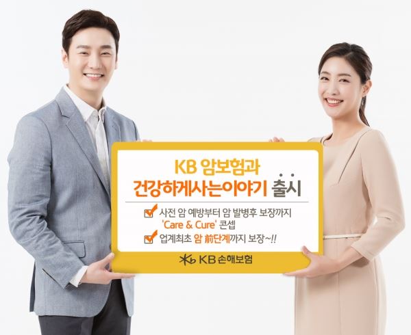 KB손해보험 제공