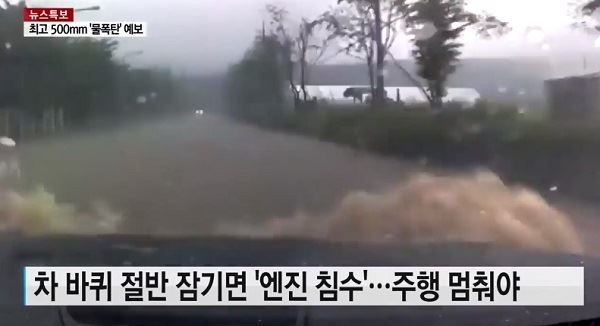 (사진=YTN 캡처)