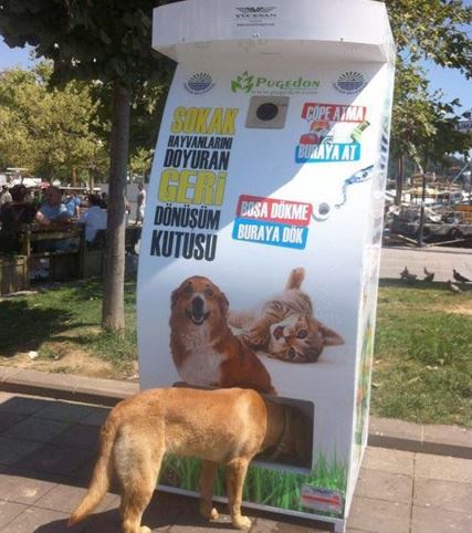 사진=푸게돈 페이스북