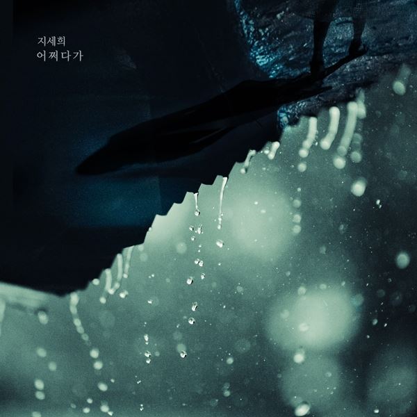 (사진=더하기미디어 제공)